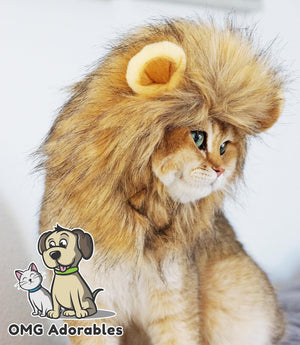 Cat wearing a lion costume with 'OMG Adorables' logo in the corner at Pet Servo