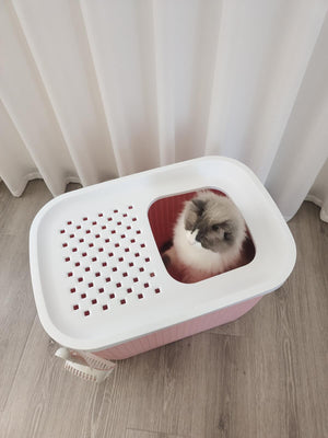 Cat sitting inside a white pet carrier with a pink interior on a wooden floor at Pet Servo