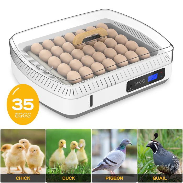 Advwin - 35 Egg Incubator Automatic Turning - Petservo-1