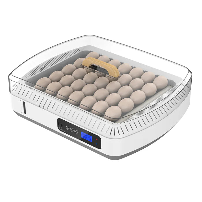 Advwin - 35 Egg Incubator Automatic Turning - Petservo