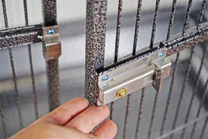 Hand opening a metal gate with a lock mechanism at Pet Servo