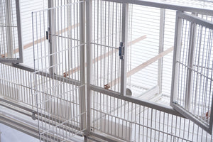 Metallic birdcage with open doors on a white background at Pet Servo