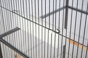 YES4PETS - 160cm Large Bird Cage Parrot Aviary - Pet Servo