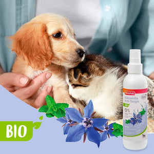 Beaphar - BIO Cosmetic Spray Anti Tangle Spray - Petservo-2