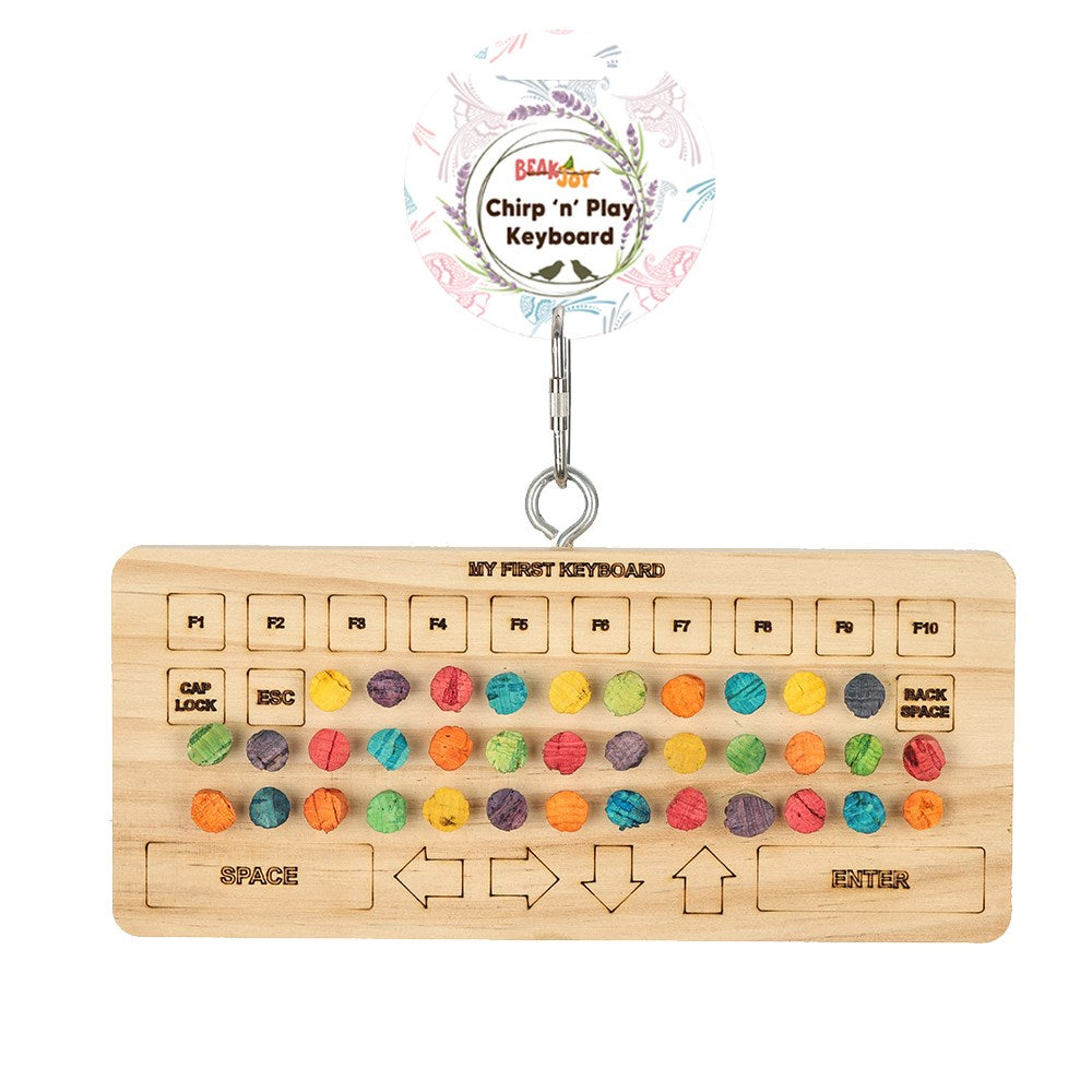 Wooden toy keyboard with colorful keys on a white background at Pet Servo