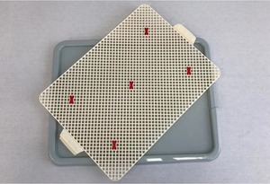 Two playing cards with red markers on a gray tray at Pet Servo