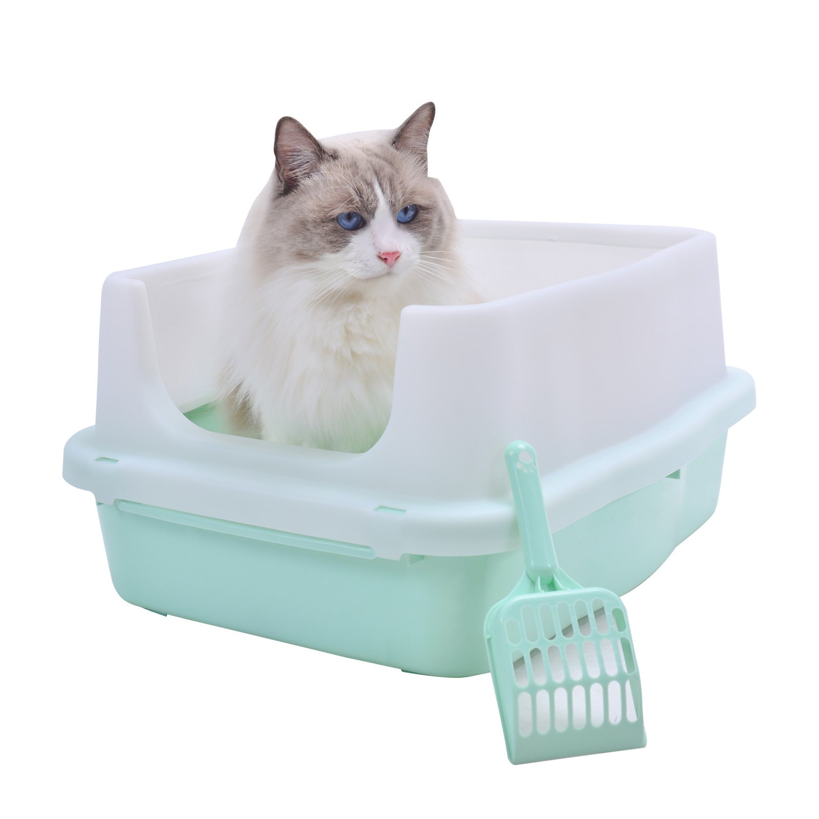 Cat sitting inside a green and white elevated litter box on a white background at Pet Servo