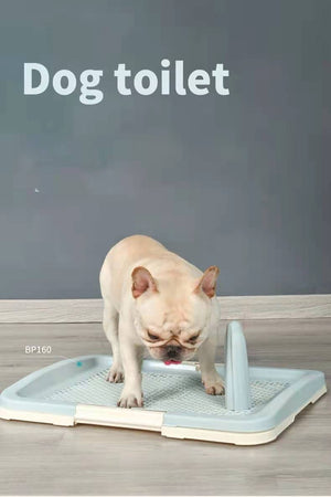 Dog using a pet toilet on a gray background at Pet Servo