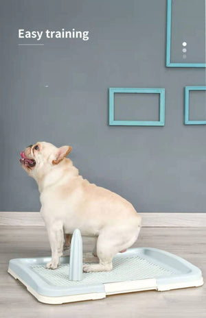 Dog sitting on a training pad with text 'Easy training' in a room with gray walls and a wooden floor at Pet Servo