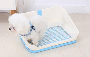Small dog using a pet toilet with a blue and white design on a light wooden floor at Pet Servo