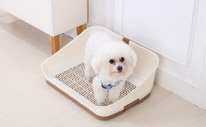 Small white dog sitting inside a pet toilet on a light wooden floor at Pet Servo