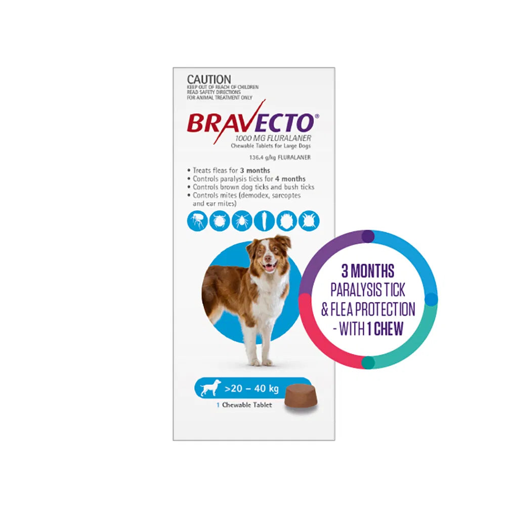 Bravecto packaging for dogs with a dog illustration and product details on a white background