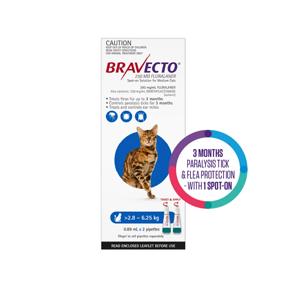 Bravecto packaging for cats with a cat illustration on a white background at Pet Servo