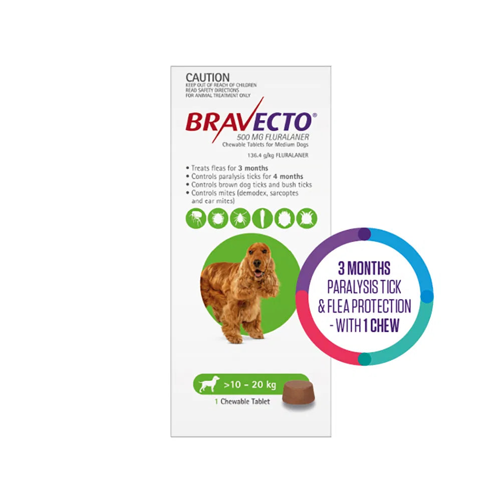 Bravecto packaging for dogs with a visual of a dog and tick control benefits on a white background