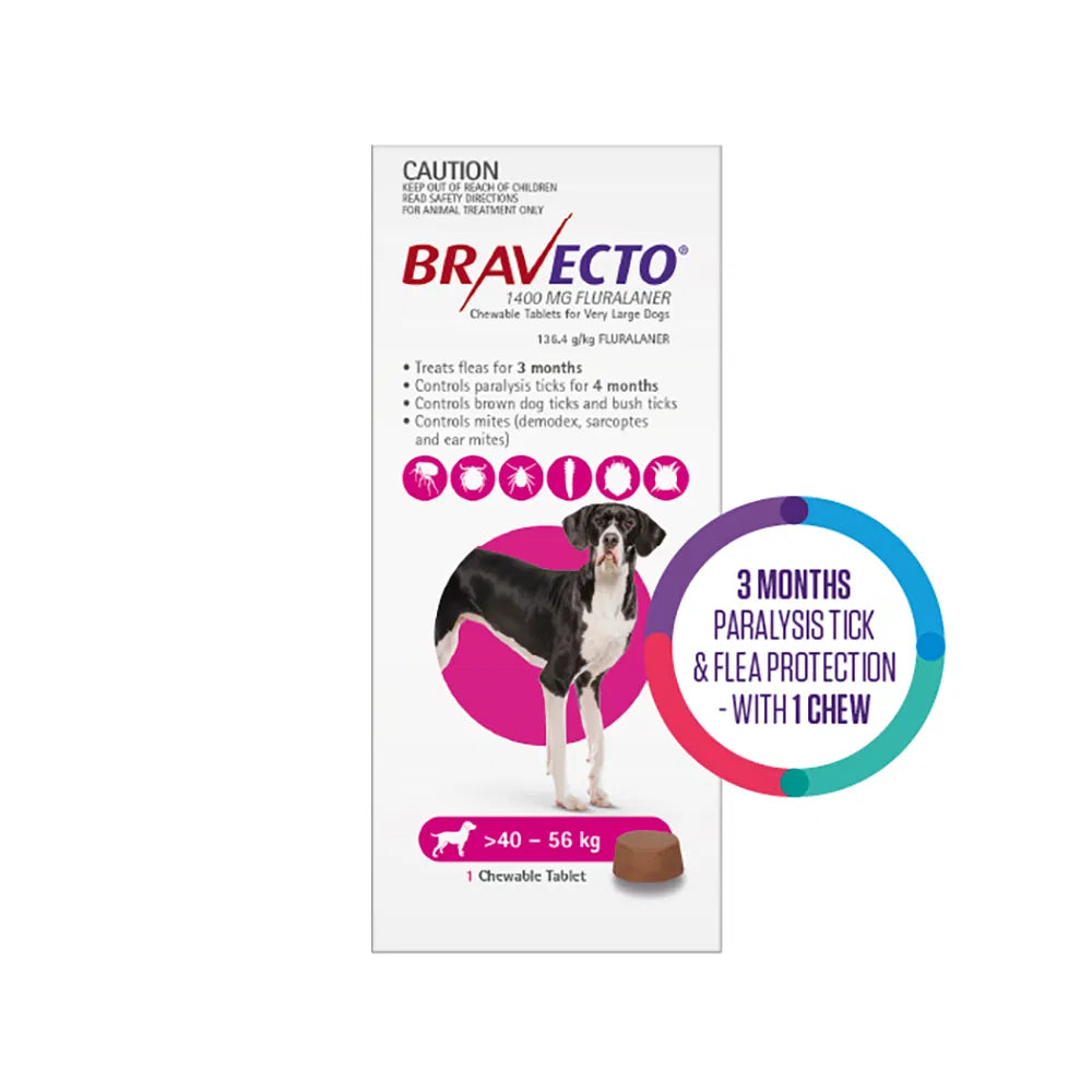 Bravecto packaging for very large dogs with a dog illustration on a white background