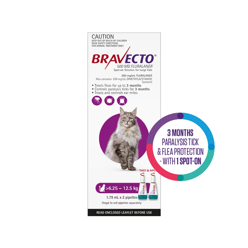Bravecto packaging for large cats with a cat illustration on a white background at Pet Servo