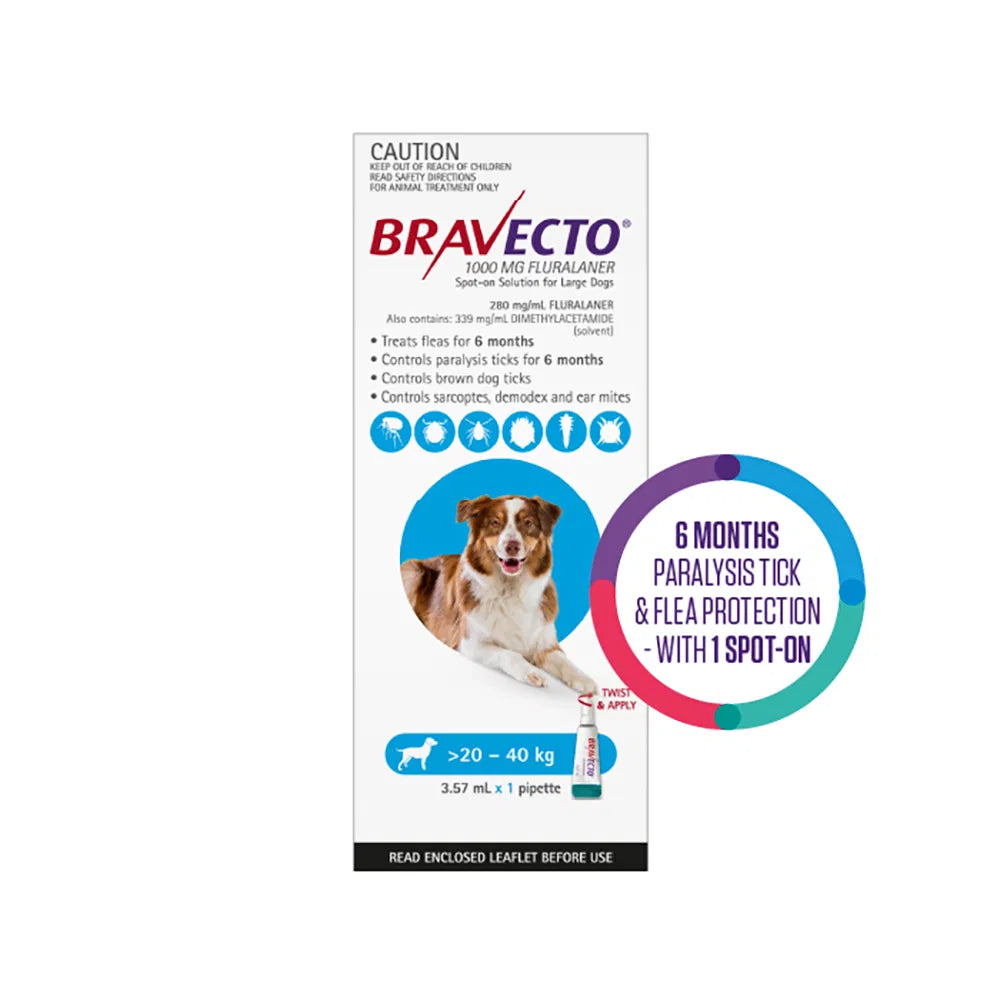 Bravecto packaging for large dogs with a dog illustration on a white background at Pet Servo