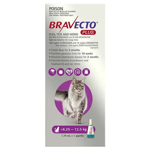 Buy Bravecto Plus for Large Cats 6.25 – 12.5 kg (Purple) at Pet Servo