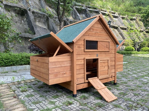 Wooden chicken coop with a green roof on a stone path with a natural background at Pet Servo