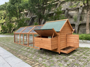 Wooden chicken coop with glass panels on a stone path with greenery in the background at Pet Servo