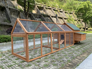 Large wooden chicken coop with transparent sides on a stone path at Pet Servo