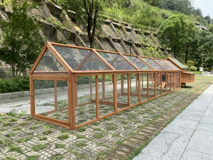 Long wooden and glass greenhouse structure in a natural setting with trees and rocks at Pet Servo