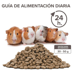 Beaphar - CARE+ extruded Guinea Pig food - Petservo