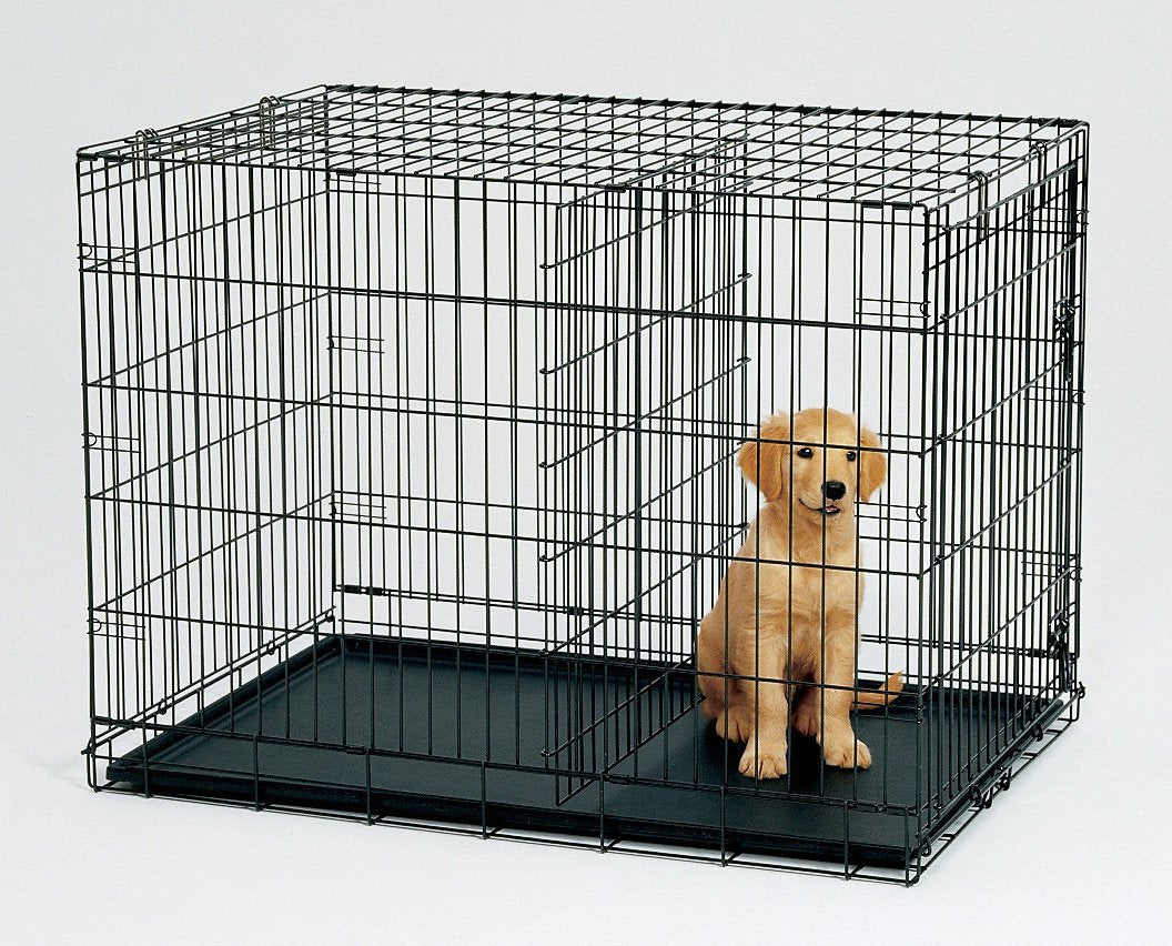 Dog sitting inside a black metal dog crate on a white background at Pet Servo