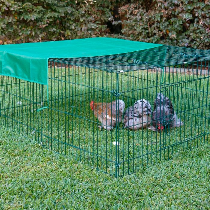 RapidMesh - 144 x 112 x 60cm Portable Animal Enclosure - PetServo-1