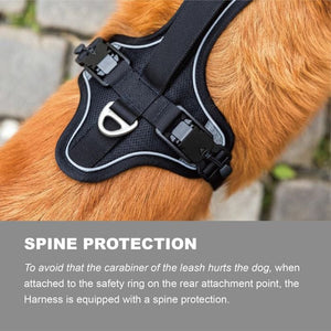 Curli - Belka Dog Comfort Harness - Small - Black - Petservo-2