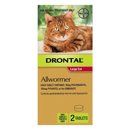 Drontal Allwormer packaging for large cats with a cat on a white background