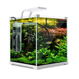 Dynamic Power - Aquarium Fish Tank 16L Starfire Glass - petservo