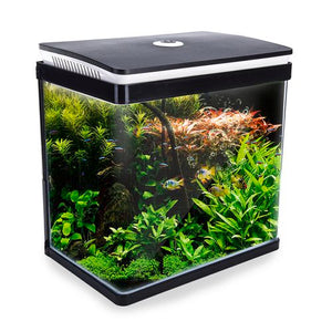 Dynamic Power - Aquarium Fish Tank 30L Curved Glass RGB LED - petservo