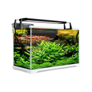 Dynamic Power - Aquarium Fish Tank 39L Starfire Glass - petservo