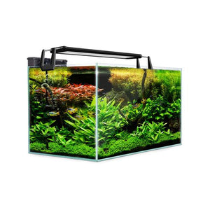 Dynamic Power Aquarium Fish Tank 70L Starfire Glass - petservo