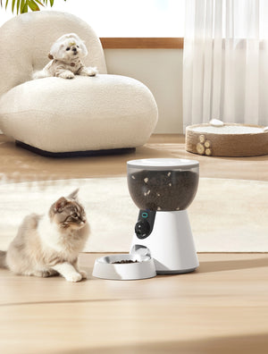 A smart pet feeder and bowl set on a light wood floor in a bright room, with a cat sitting beside it and a small dog resting on a cream armchair in the background at Pet Servo