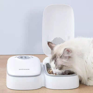 Cat using a Petwant food dispenser on a wooden surface with a light gray background at Pet Servo