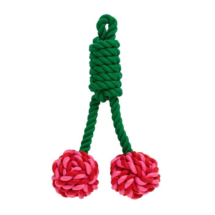 Green and pink rope dog toy on a white background at Pet Servo