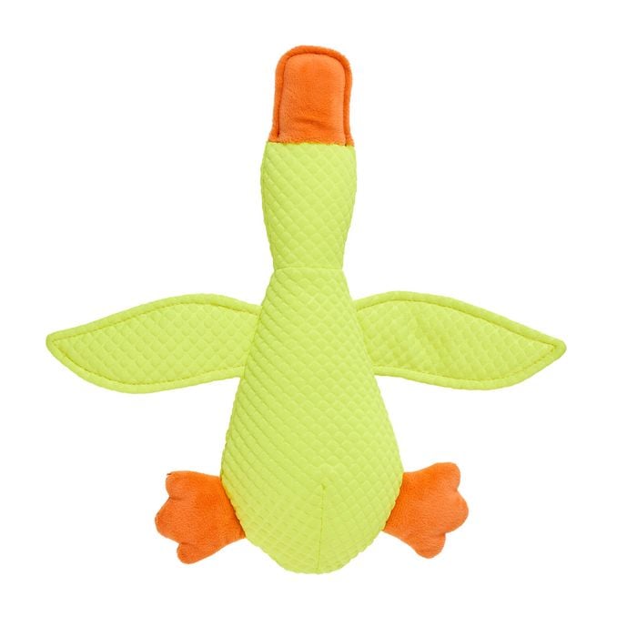 Green and orange bird-shaped toy on a white background