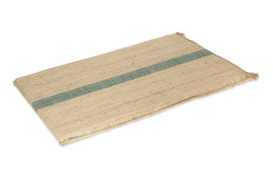 Beige doormat with a green stripe on a white background at Pet Servo