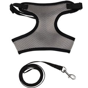 Gray mesh dog harness with black trim and a matching leash on a white background