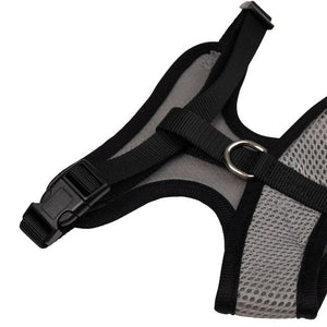 Black and gray dog harness on a white background