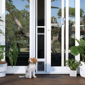 A small black mesh patio pet door designed for small dogs or cats, showing a vertical orientation with a retractable flap.