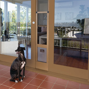 Dog sitting on a tiled floor in front of a glass door with a view of a garden.