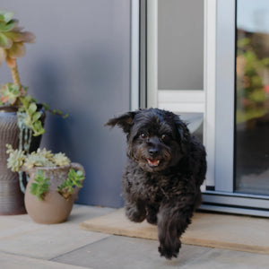 A small black mesh patio pet door designed for small dogs or cats, showing a vertical orientation with a retractable flap.