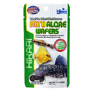 Hikari Mini Algae Wafers packaging with fish illustrations on a white background at Pet Servo