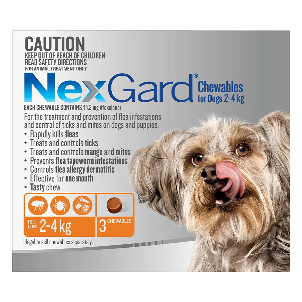 NexGard Chewables ornge packaging for dogs with a dog licking its lips on a gray background at Pet Servo
