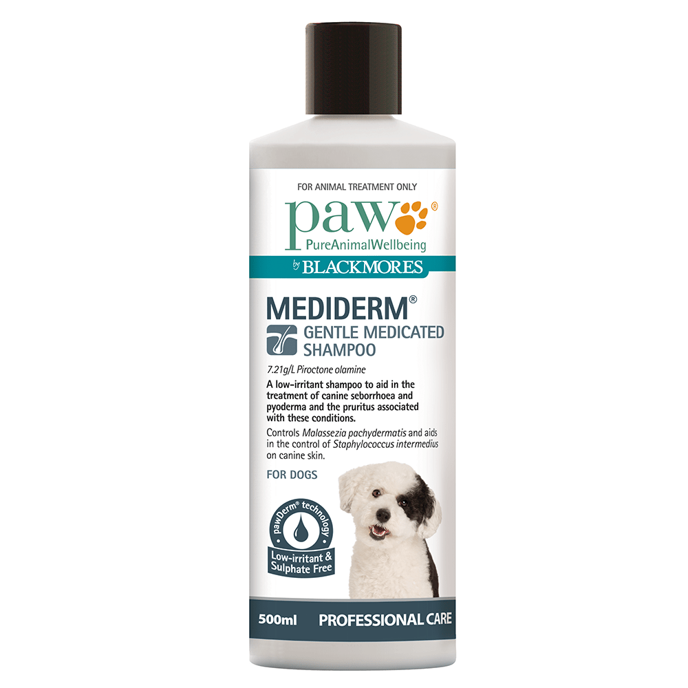 Mediderm Gentle Medicated Shampoo bottle for dogs by Blackmores on a white background at Pet Servo