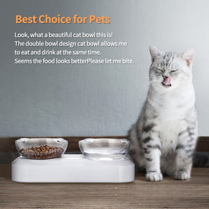 Cat sitting next to a double bowl pet feeder with text about its benefits at Pet Servo