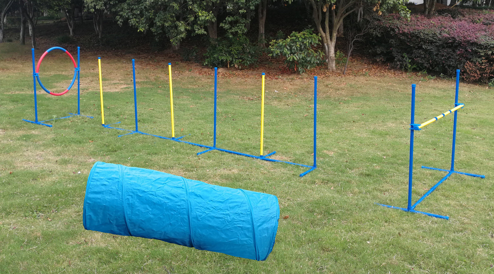 Dog agility course set up on grass with various obstacles including tunnels, hoops, and weave poles at Pet Servo